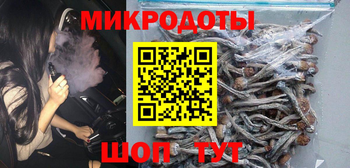Галлюциногенные грибы Psilocybine cubensis Тосно